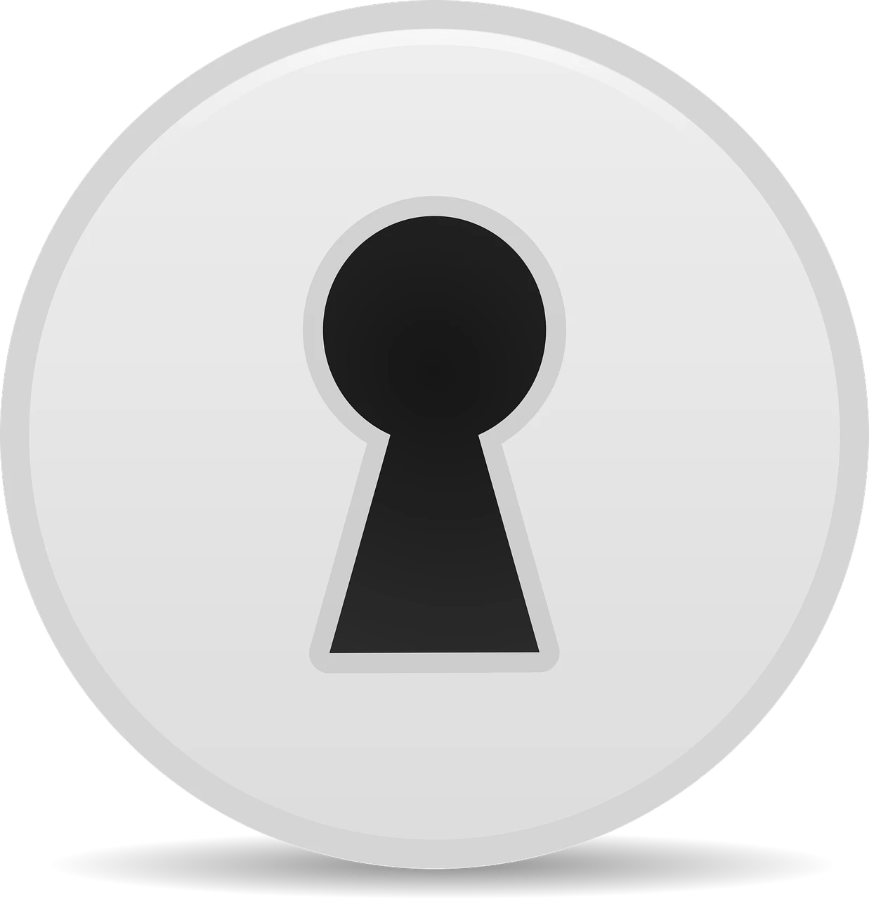 Anaya logo